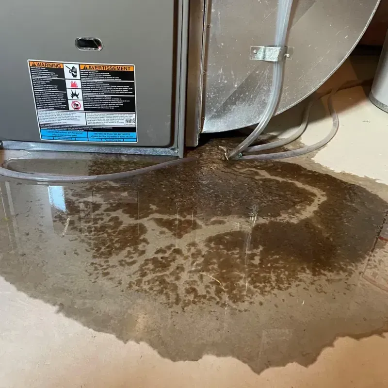 Appliance Leak Cleanup in El Campo, TX